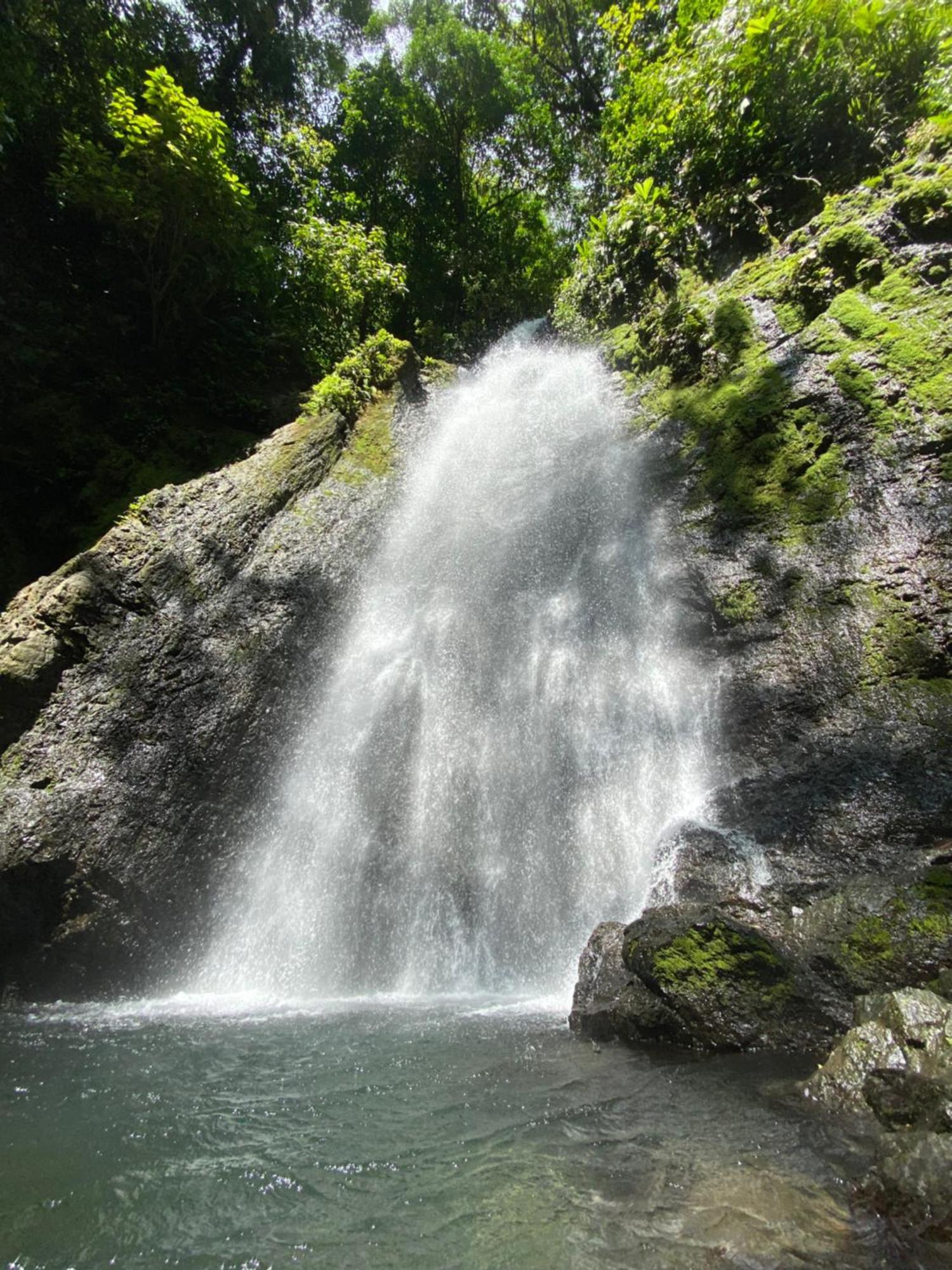 Cabinas Corcovado Green Parrot, Los Planes Drake Drakes Bay 外观 照片