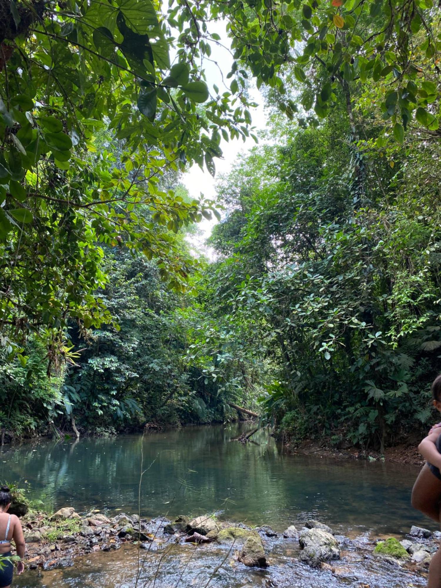 Cabinas Corcovado Green Parrot, Los Planes Drake Drakes Bay 外观 照片