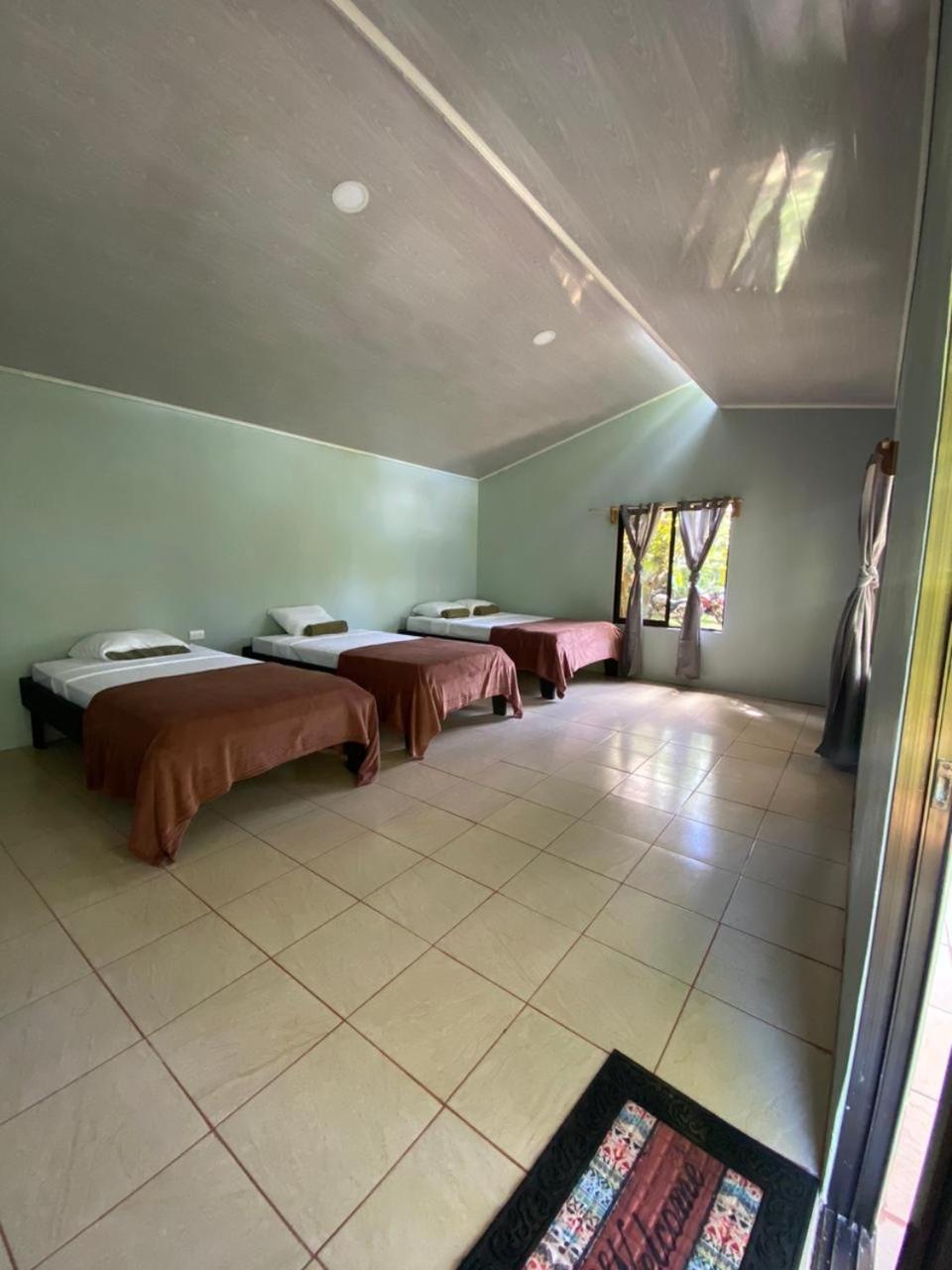 Cabinas Corcovado Green Parrot, Los Planes Drake Drakes Bay 外观 照片