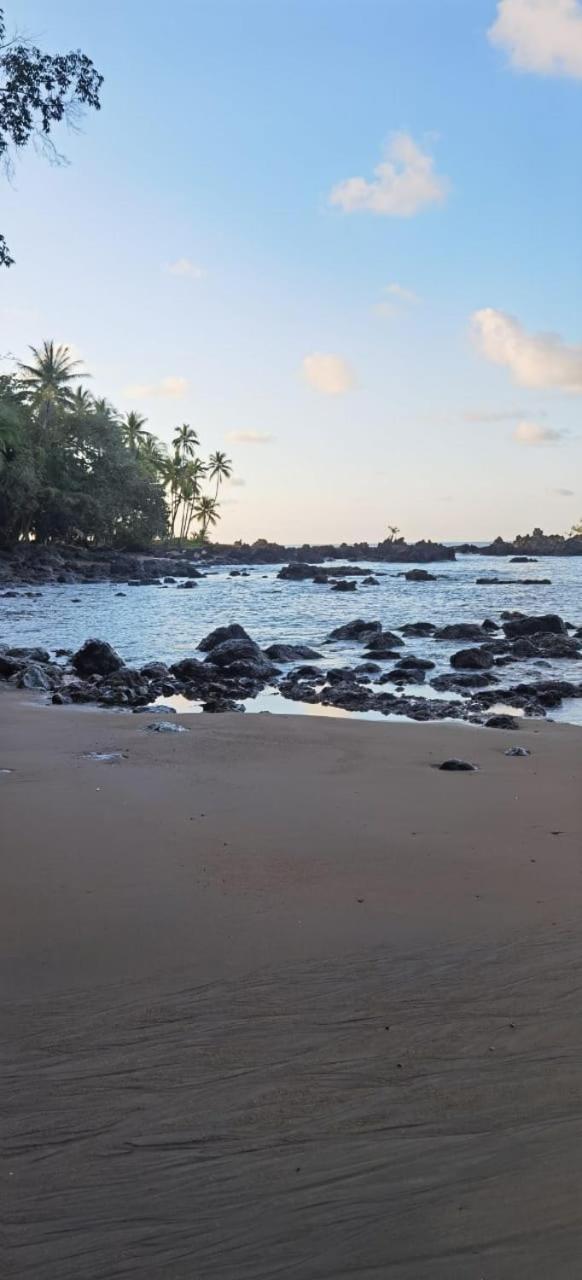 Cabinas Corcovado Green Parrot, Los Planes Drake Drakes Bay 外观 照片