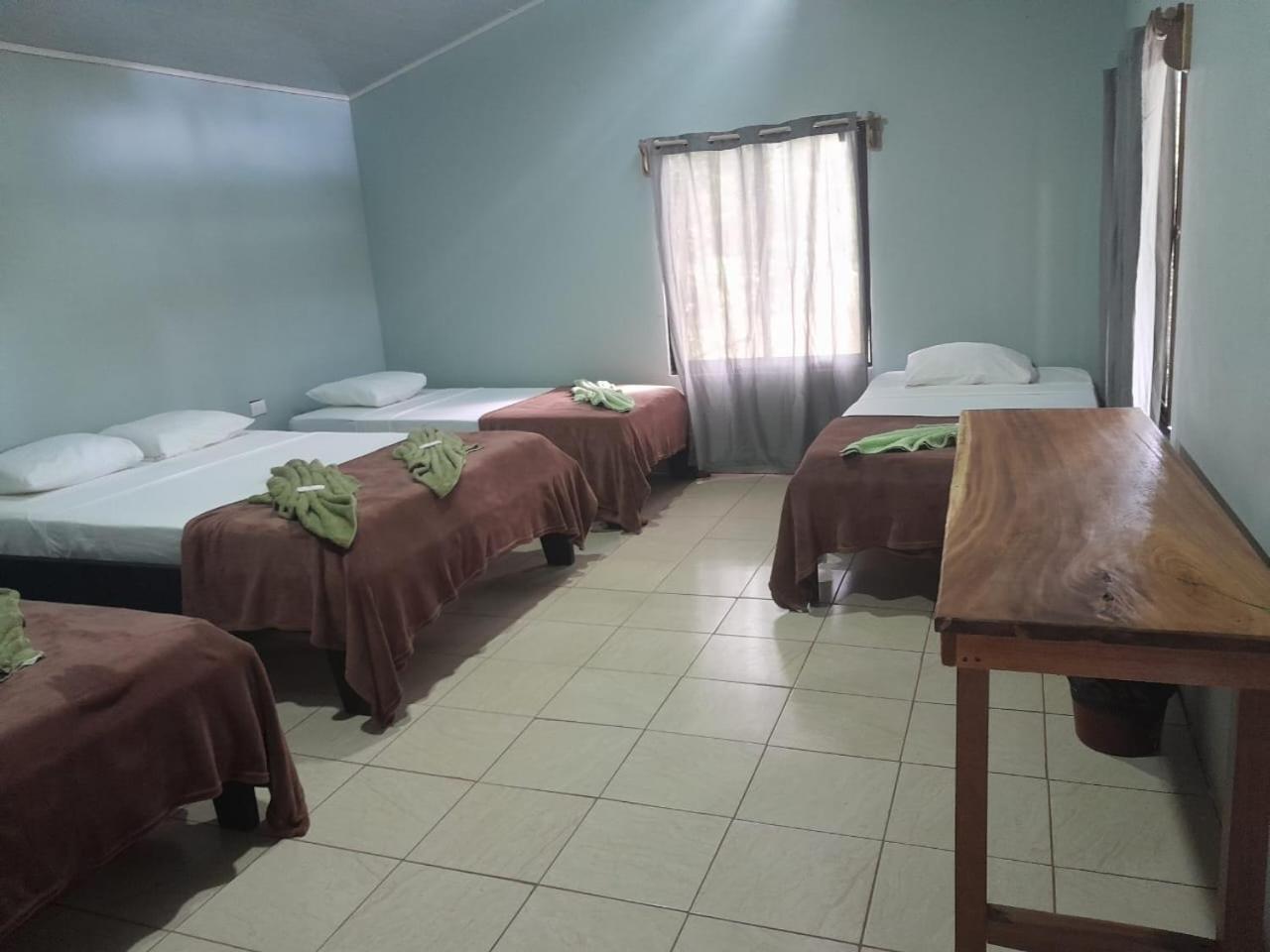 Cabinas Corcovado Green Parrot, Los Planes Drake Drakes Bay 外观 照片