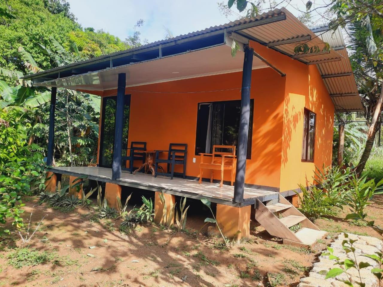 Cabinas Corcovado Green Parrot, Los Planes Drake Drakes Bay 外观 照片