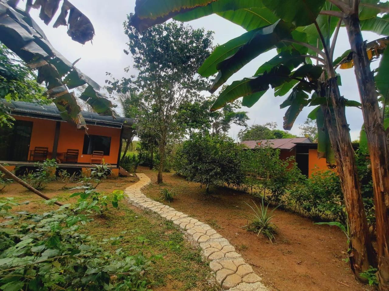 Cabinas Corcovado Green Parrot, Los Planes Drake Drakes Bay 外观 照片