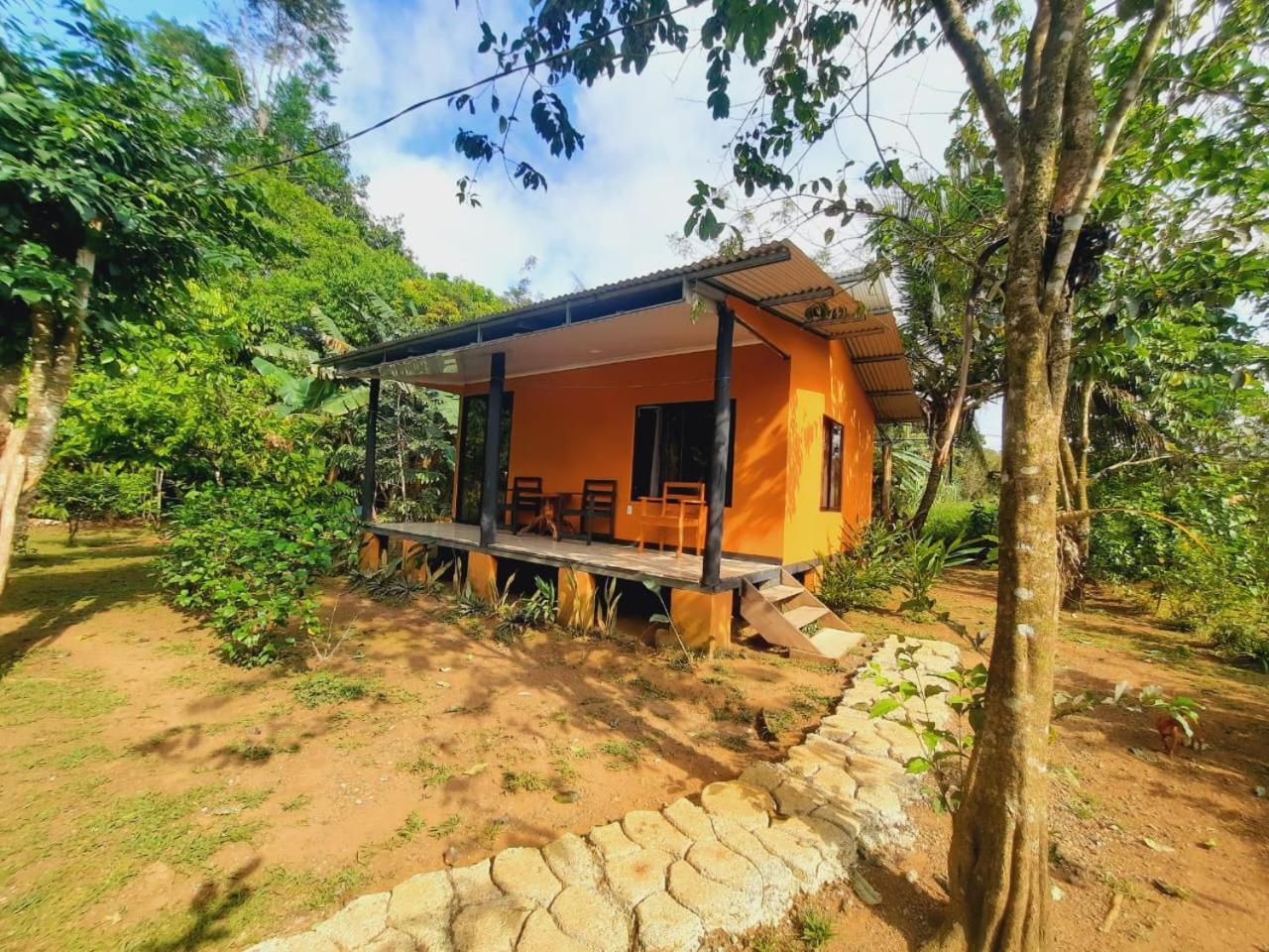 Cabinas Corcovado Green Parrot, Los Planes Drake Drakes Bay 外观 照片